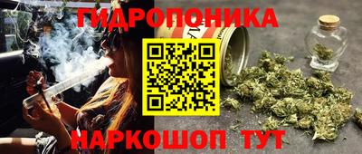 ПСИЛОЦИБИНОВЫЕ ГРИБЫ Малгобек