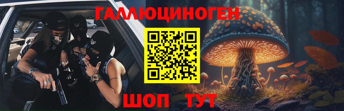 Галлюциногенные грибы прущие грибы  Вход с VPN  Улан-Удэ 